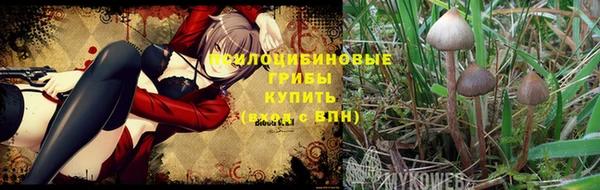 трава Козловка